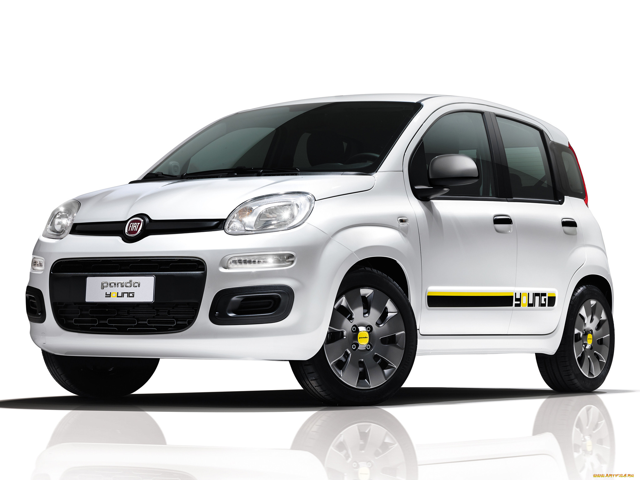 , fiat, , 319, young, panda